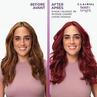 Clairol Bold & Bright Permanent Hair Dye, Intense Color + Moisturizing Shine