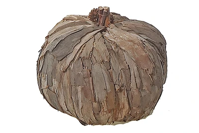 Tree Bark Pumpkin Large