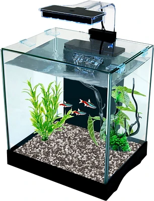 Penn-Plax Aquarium de bureau