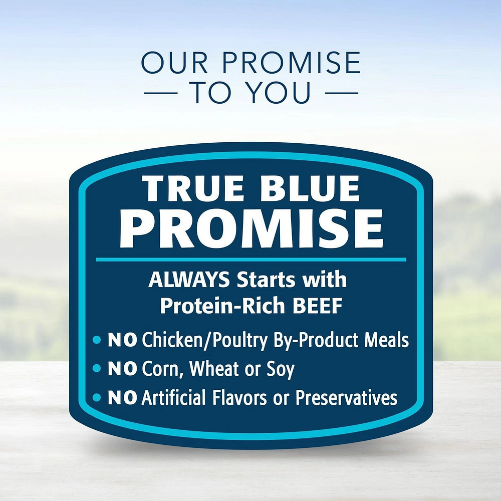 BLUE Homestyle Recipe Beef Dinner Wet Dog Food, 354g