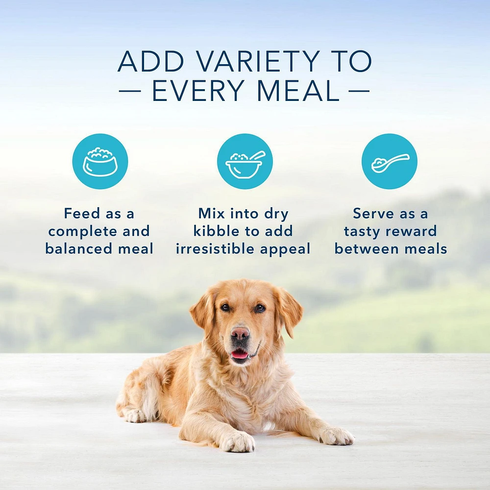 BLUE Homestyle Recipe Beef Dinner Wet Dog Food, 354g