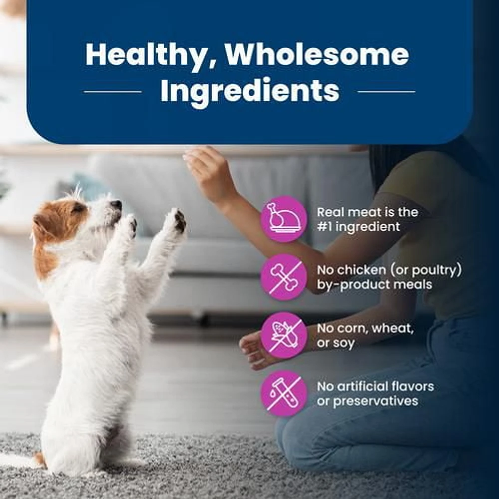 BLUE Life Protection Formula recette poulet et riz brun pour chiens âgés de race de petite taille 2,2kg