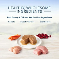 BLUE Healthy Gourmet Paté Turkey & Chicken Entrée Wet Cat Food