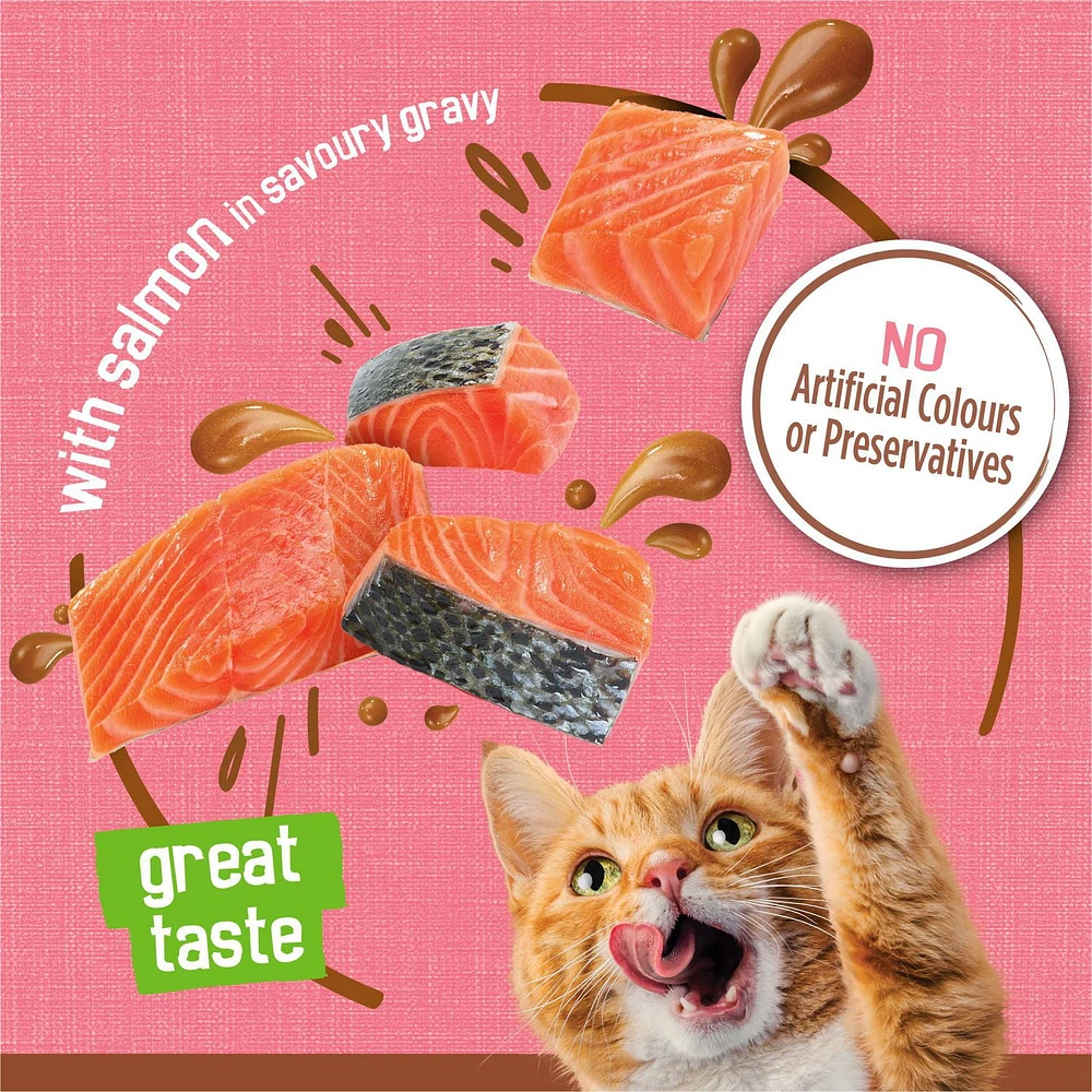 Friskies Riche en Sauce Bouchées avec Saumon en Sauce Savoureuse Nourriture pour Chats 156g