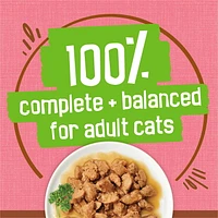 Friskies Riche en Sauce Bouchées avec Saumon en Sauce Savoureuse Nourriture pour Chats 156g