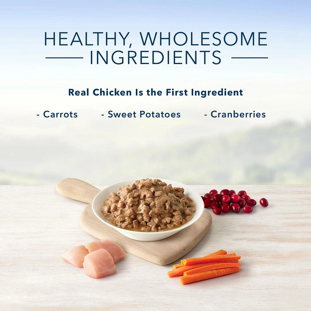 BLUE Healthy Gourmet Meaty Morsels Chicken Entrée Wet Cat Food