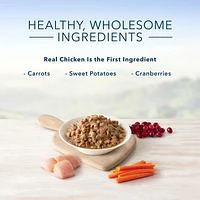 BLUE Healthy Gourmet Meaty Morsels Chicken Entrée Wet Cat Food