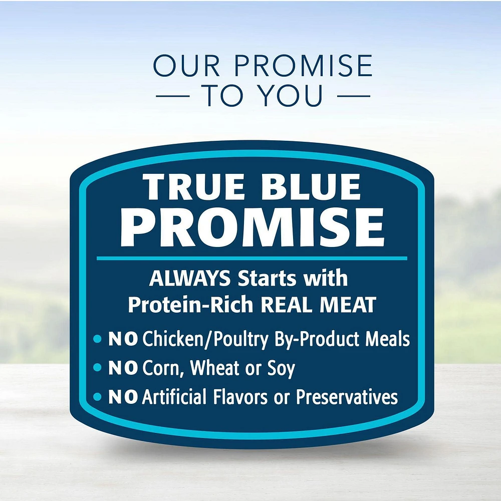 BLUE Healthy Gourmet Paté Wet Cat Food Variety Pack