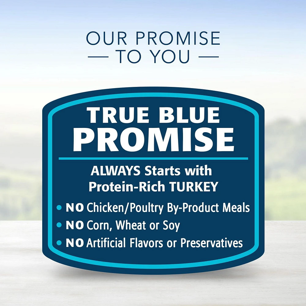 BLUE Healthy Gourmet Paté Turkey & Chicken Entrée Wet Cat Food