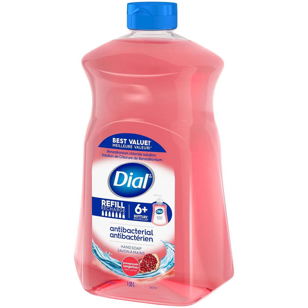 Dial Antibacterial Refill Pomegranate & Tangerine - Plastic Bank, Liquid hand soap refill