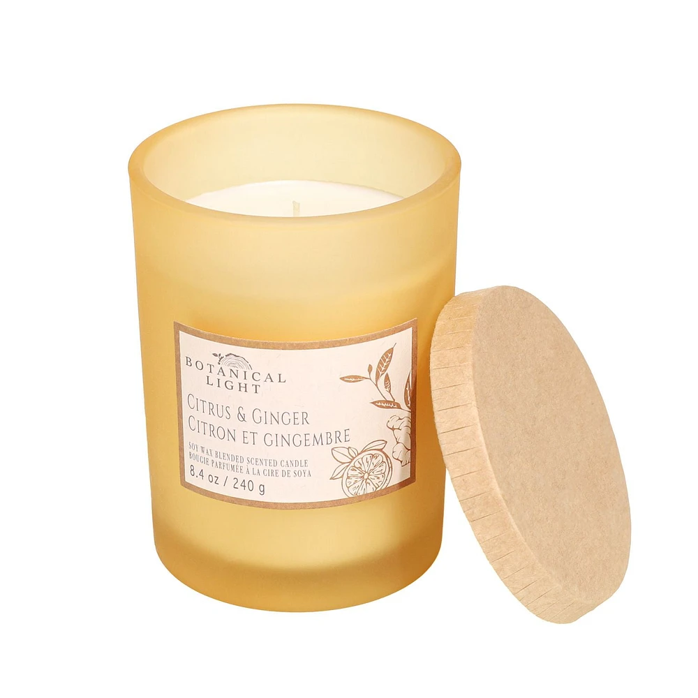 Botanical Light 8.4OZ Citrus & Ginger Soy Wax Blended Scented Candle,1 cotton wick, · 8.4oz<br>· 240g<br>· 1 pack