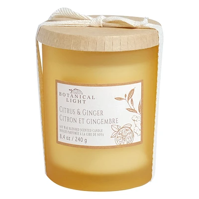 Botanical Light 8.4OZ Citrus & Ginger Soy Wax Blended Scented Candle,1 cotton wick, · 8.4oz<br>· 240g<br>· 1 pack