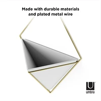 Umbra Trigg Wall Display,White/Brass