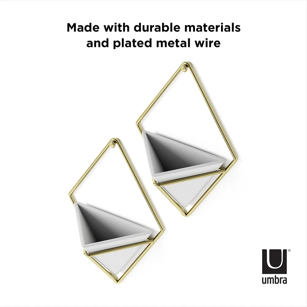 Umbra Trigg Wall Display (Set of 2),White/Brass