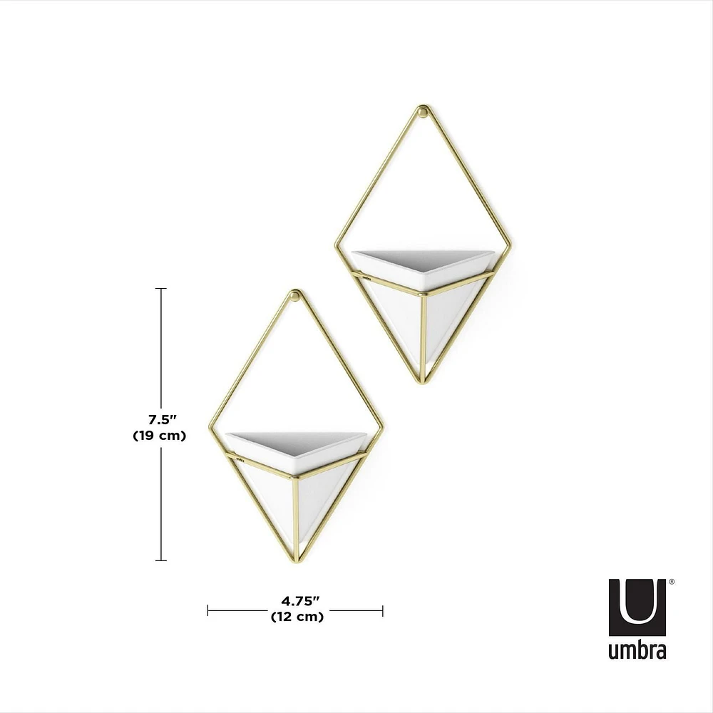 Umbra Trigg Wall Display (Set of 2),White/Brass