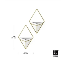 Umbra Trigg Wall Display (Set of 2),White/Brass