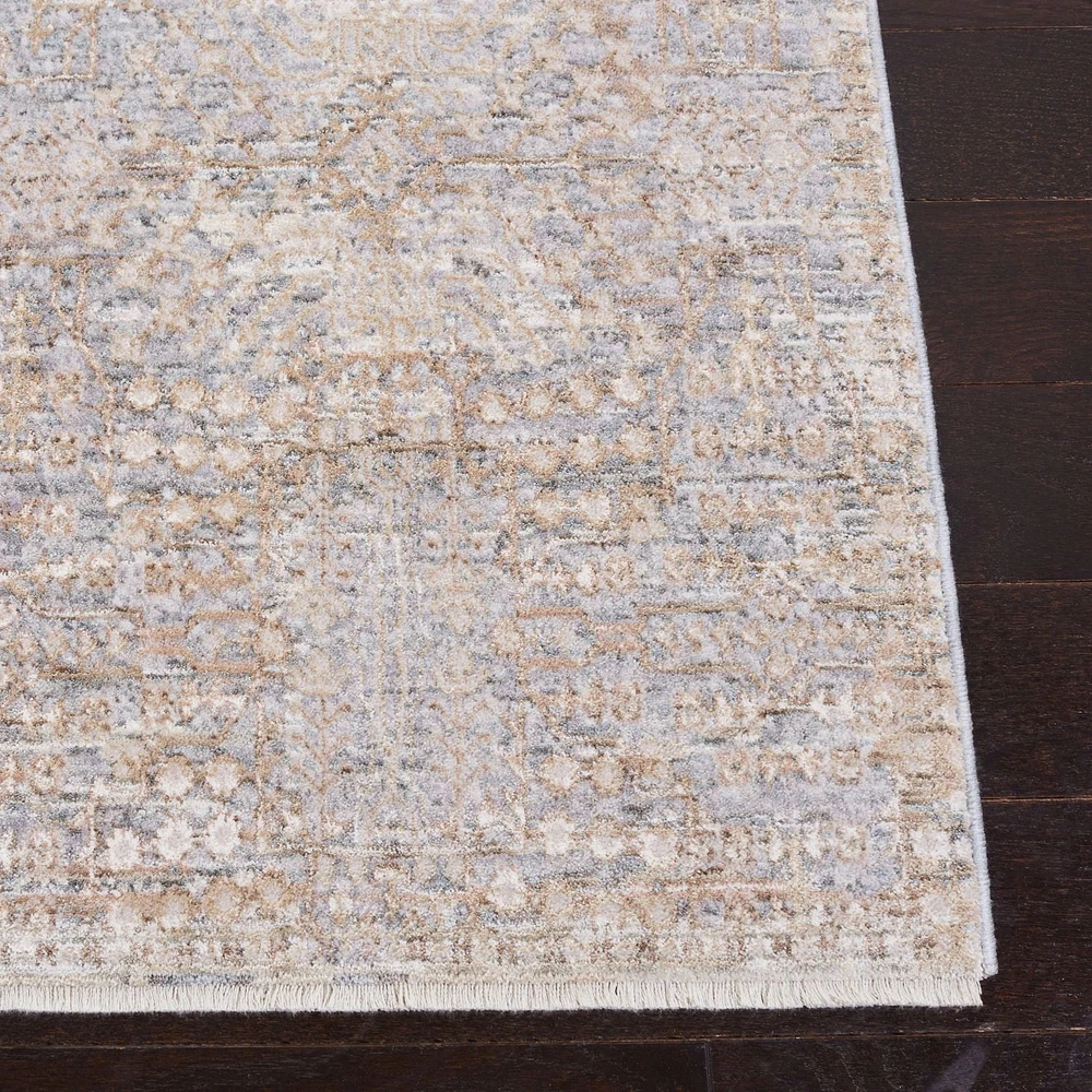 SAFAVIEH Webster Clark Traditional Area Rug