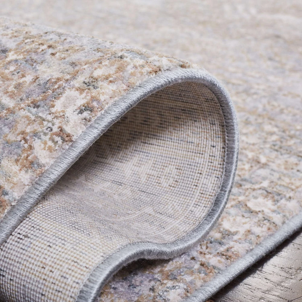 SAFAVIEH Webster Clark Traditional Area Rug