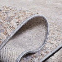 SAFAVIEH Webster Clark Traditional Area Rug