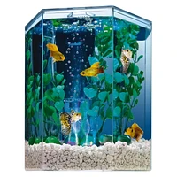 Tetra Bubbling Hexagon Aquarium Kit with LED Light, 1 Gallon