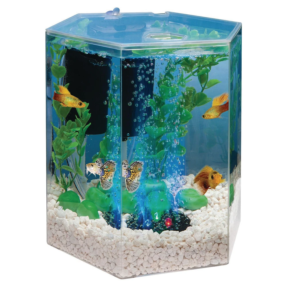 Tetra Bubbling Hexagon Aquarium Kit with LED Light, 1 Gallon