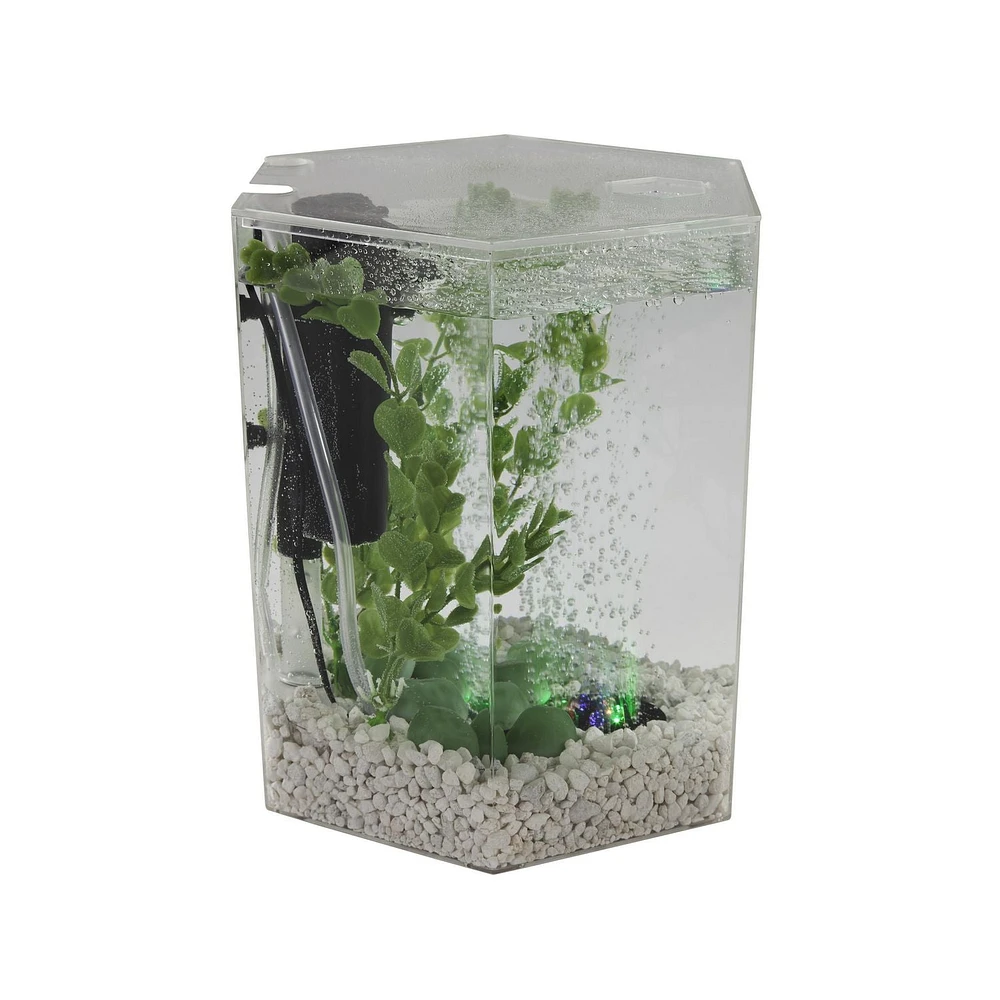 Tetra Bubbling Hexagon Aquarium Kit with LED Light, 1 Gallon