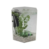 Tetra Bubbling Hexagon Aquarium Kit with LED Light, 1 Gallon