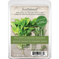 ScentSationals Scented Wax Cubes Value Pack - Wild Mint & Crushed Rosemary