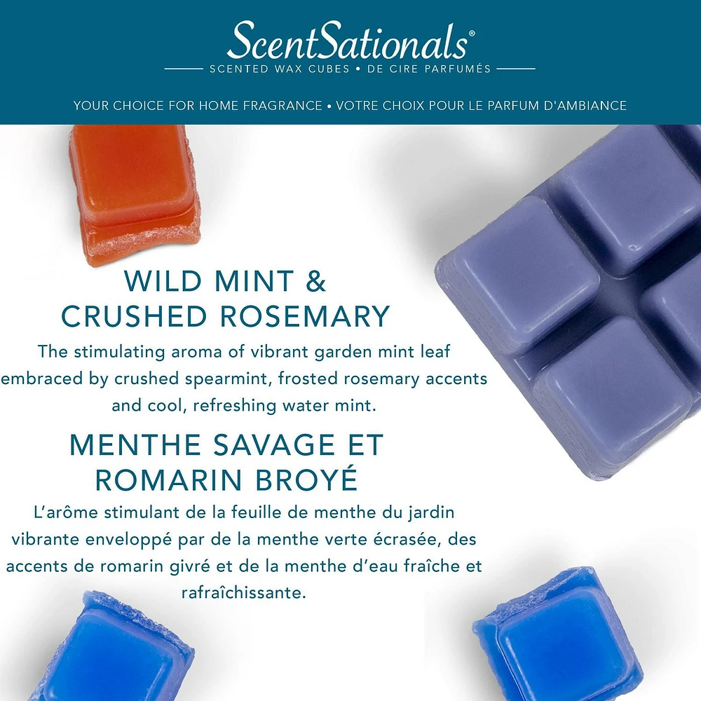 ScentSationals Scented Wax Cubes Value Pack - Wild Mint & Crushed Rosemary