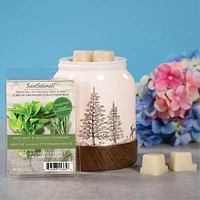 ScentSationals Scented Wax Cubes Value Pack - Wild Mint & Crushed Rosemary