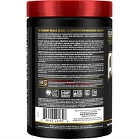 Aminocore BCAA - 8g BCAAs - 100% Pure Branch Chained Amino Acids - Gluten Free - Blue Raspberry - 462g, Intra-workout Muscle Support<br>Instantly Stimulates Muscle Growth By 350%<br>No fillers, Zero Non-BCAA Aminos & Sugar-free