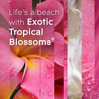 Glade® Chandelle parfumée, Fleurs tropicales exotiques Chandelle à trois mèches