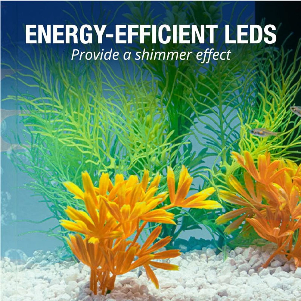 Tetra LED Starter Kit 5.5G, Tetra LED Starter Kit 5.5 Gallon