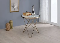 ACME Valora End Table in Champagne & Frosted Glass