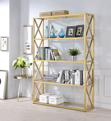 ACME Milavera Bookshelf in Gold & Clear Glass