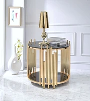 ACME Tanquin End Table in Gold & Black Glass