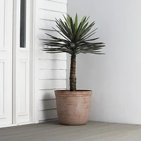 16"Oneda Planter, Washed Terracotta, 16 in, Oneda Planter