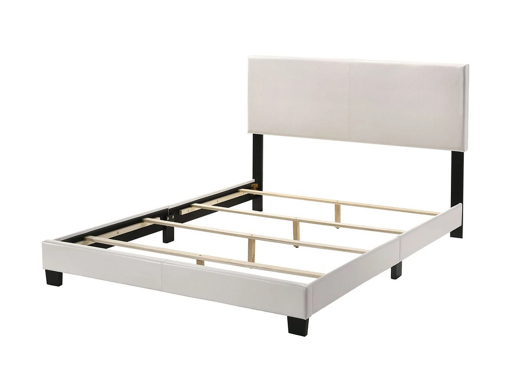 ACME Lien Queen Bed in White PU