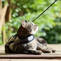 Pet Attire Adjustable Cat Wrap Harness & 6' Leash Cat Combo, Cat Harness & 6' Leash