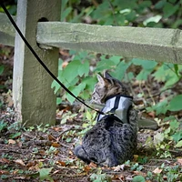 Pet Attire Adjustable Cat Wrap Harness & 6' Leash Cat Combo, Cat Harness & 6' Leash