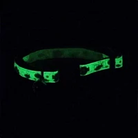 Pet Attire Glow In The Dark Lime Skulls Adjustable Safety Cat Collar