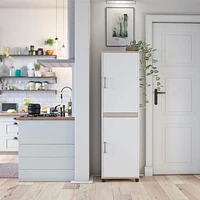 Systembuild Evolution Evolution Whitmore 2 Door Kitchen Pantry Cabinet, White