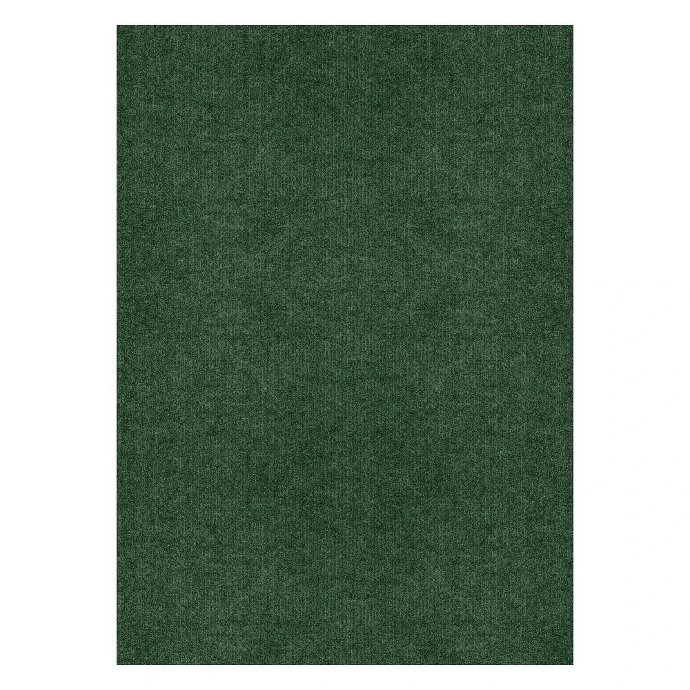 6 ft. x 8 ft. Green Indoor Outdoor Rug