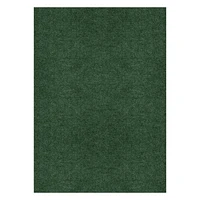 6 ft. x 8 ft. Green Indoor Outdoor Rug