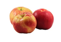 Apple, Gravenstein, 3 lb