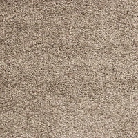 Safavieh California Solid Plush Shag Area Rug