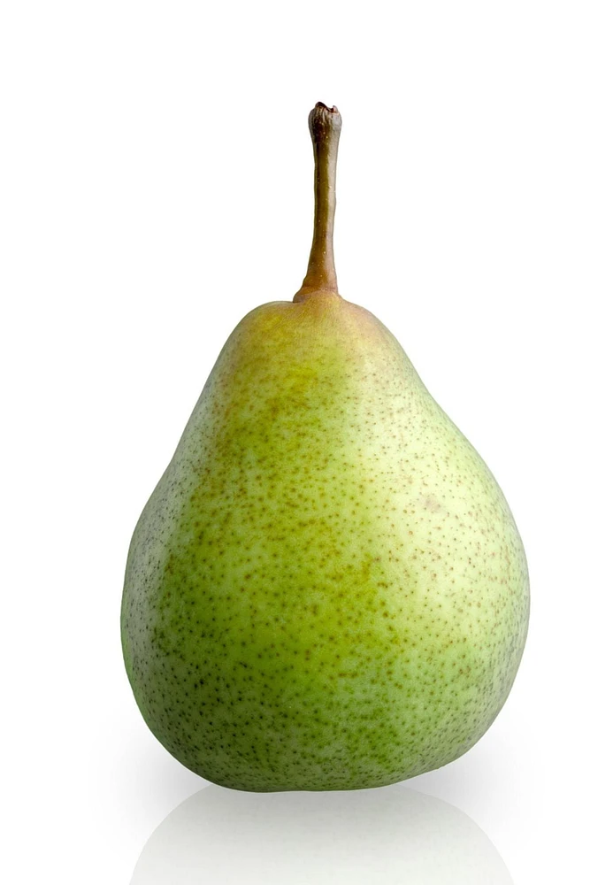 Pear, Organic Bartlett, Sold in singles, 0.18 - 0.20 EA
