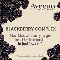 Aveeno Anti Aging Face Moisturizer, Active Naturals Absolutely Ageless Daily Lotion SPF 30 for Wrinkles and Fine Lines, Hydrating Cream with Blackberry Complex, Non-Comedogenic and Hypoallergenic, 50 mL