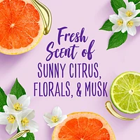 Réparation des cheveux secs Aussie Miracle Moist 3 Minute Miracle, sans parabènes, avec avocat 236 ml