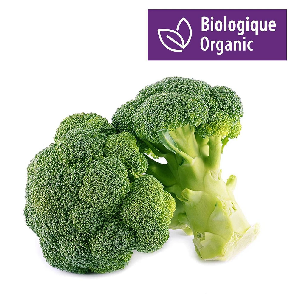 Brocoli biologique